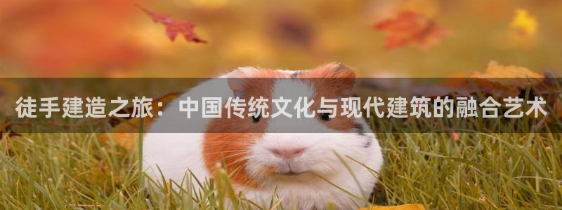 狗子28资讯官网入口：徒手建造之旅：中国传统文化与现代建筑的融合艺术