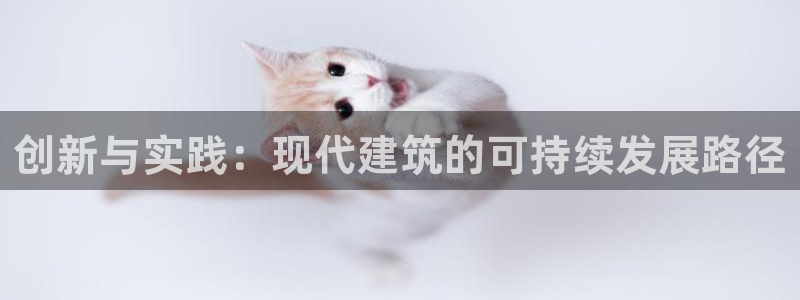 狗子28官：创新与实践：现代建筑的可持续发展路径