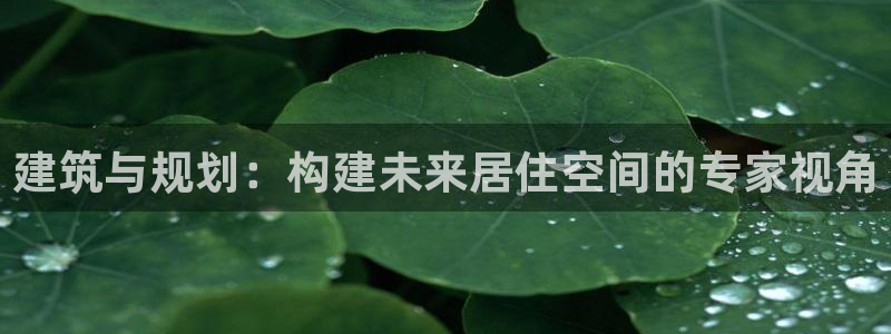 狗子28简介图片：建筑与规划：构建未来居住空间的专家视角