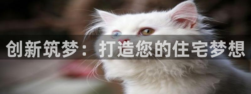 狗子28网：创新筑梦：打造您的住宅梦想