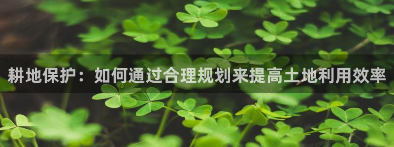 狗子28客服：耕地保护：如何通过合理规划来提高土地利用效率