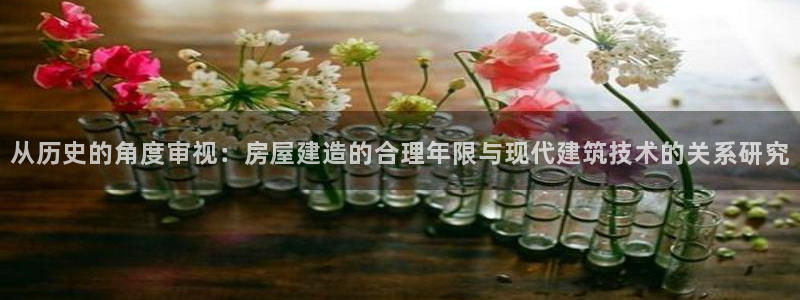 狗子28系统：从历史的角度审视：房屋建造的合理年限与现代建筑技术的关系研究