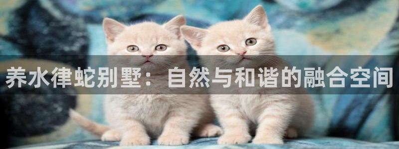 狗子28中国：养水律蛇别墅：自然与和谐的融合空间