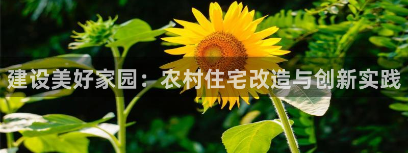 狗子28理财logo：建设美好家园：农村住宅改造与创新实践