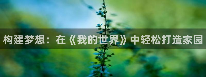 狗子28大厅有挂吗：构建梦想：在《我的世界》中轻松打造家园