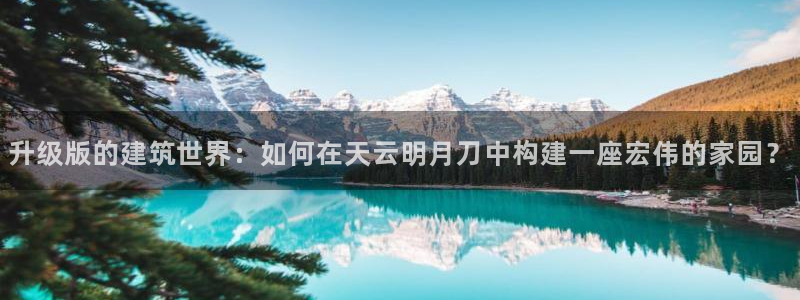 狗子28体育管理集团
