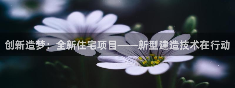 狗子28系统