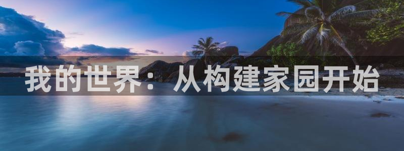 狗子28大厅透视：我的世界：从构建家园开始