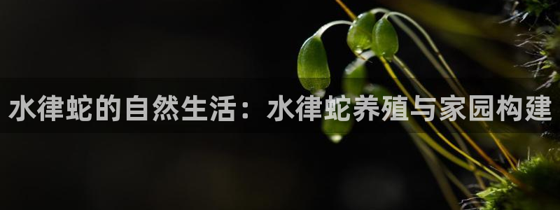 狗子28系统：水律蛇的自然生活：水律蛇养殖与家园构建