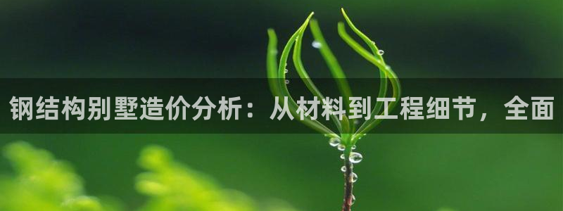 狗子28垫付金额：钢结构别墅造价分析：从材料到工程细节，全面
