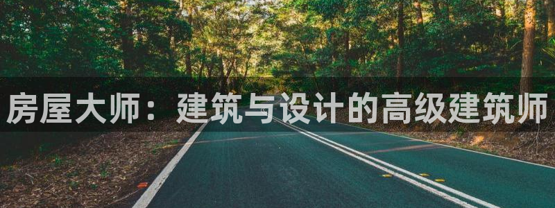 狗子28传媒：房屋大师：建筑与设计的高级建筑师