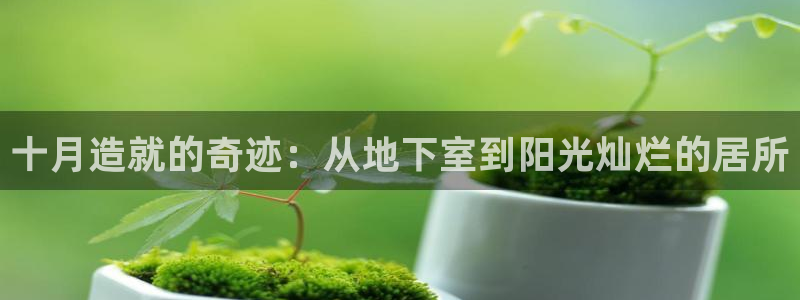 狗子28登录：十月造就的奇迹：从地下室到阳光灿烂的居所