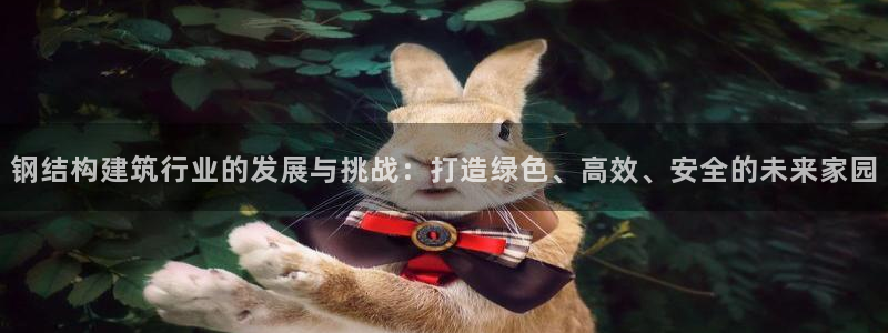 狗子28管理集团：钢结构建筑行业的发展与挑战：打造绿色、高效、安全的未来家园